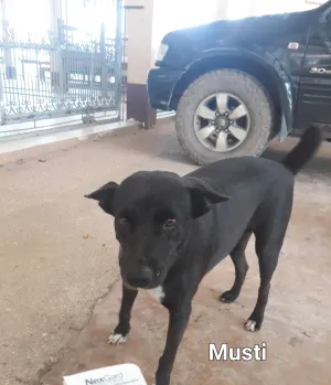 Musti